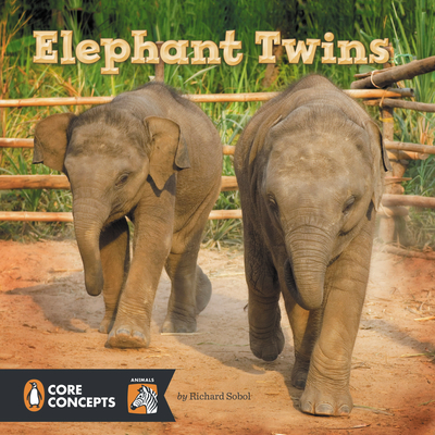 elephant twins cover