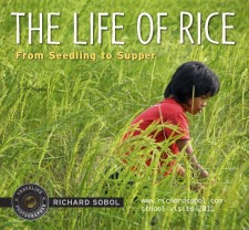 RICEbookCover2011